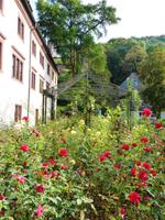 Wertheim (10) &ndash; &copy; Steffi Zimmermann (Eberhardt TRAVEL)