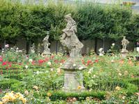 Bamberger Rosen (2) &ndash; &copy; Steffi Zimmermann (Eberhardt TRAVEL)