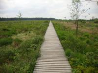 Botrange &ndash; &copy; Harald Kühne (Eberhardt TRAVEL)
