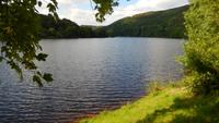 Rurstausee &ndash; &copy; Petra Sauer (Eberhardt TRAVEL)