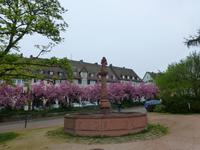 Freudenstadt &ndash; &copy; Kerstin Hugel (Eberhardt TRAVEL)
