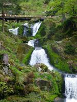 Triberger Wasserfälle &ndash; &copy; Kerstin Hugel (Eberhardt TRAVEL)