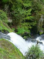 Triberger Wasserfälle &ndash; &copy; Kerstin Hugel (Eberhardt TRAVEL)