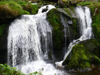 Triberger Wasserfälle &ndash; &copy; Kerstin Hugel (Eberhardt TRAVEL)