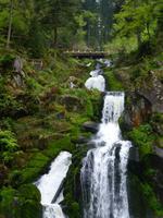 Triberger Wasserfälle &ndash; &copy; Kerstin Hugel (Eberhardt TRAVEL)
