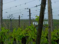 Weingut Ruhlmann &ndash; &copy; Kerstin Hugel (Eberhardt TRAVEL)