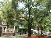 DSCN1700 &ndash; &copy; Kerstin Veit (Eberhardt TRAVEL)