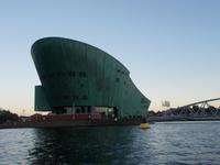 DSCN1971  Nemo &ndash; &copy; Kerstin Veit (Eberhardt TRAVEL)