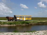 Hallig Hooge - unsere Kutsche &ndash; &copy; Claudia Bernhardt (Eberhardt TRAVEL)