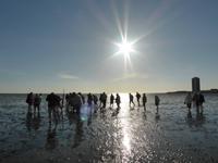 Wattwanderung  &ndash; &copy; Claudia Bernhardt (Eberhardt TRAVEL)