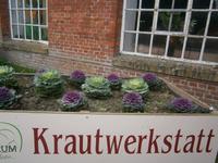 Im Kohlloseum &ndash; &copy; Gabriele Schwarze (Eberhardt TRAVEL)