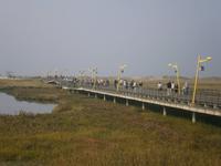 Seebrücke in St. Peter Ording &ndash; &copy; Gabriele Schwarze (Eberhardt TRAVEL)