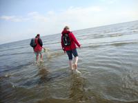 Büsum &ndash; &copy; Harald Kühne (Eberhardt TRAVEL)