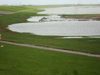 Westerhever &ndash; &copy; Harald Kühne (Eberhardt TRAVEL)