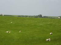 Westerhever &ndash; &copy; Harald Kühne (Eberhardt TRAVEL)