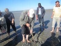 Nordstrand-Wattwanderung &ndash; &copy; Gisela Gerlach (Eberhardt TRAVEL)