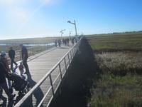 St.Peter-Ording &ndash; &copy; Gisela Gerlach (Eberhardt TRAVEL)