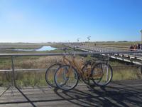 St.Peter-Ording &ndash; &copy; Gisela Gerlach (Eberhardt TRAVEL)