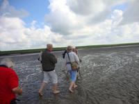 Wattwanderung &ndash; &copy; Harald Kühne (Eberhardt TRAVEL)