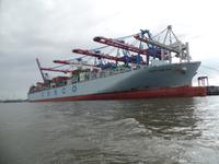 Containerhafen Buchardkai &ndash; &copy; Elke Reuter (Eberhardt TRAVEL)