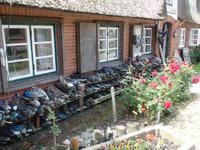 auf der Hallig &ndash; &copy; Elke Reuter (Eberhardt TRAVEL)