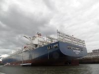 Containerhafen &ndash; &copy; Elke Reuter (Eberhardt TRAVEL)
