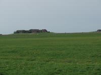 auf der Hallig &ndash; &copy; Elke Reuter (Eberhardt TRAVEL)