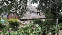 Insel Föhr 6 &ndash; &copy; Uta Hertel (Eberhardt TRAVEL)