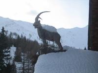 Das Maskottchen der Pritzhütte &ndash; &copy; Heiner Preiss (Eberhardt TRAVEL)