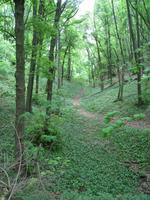 im Wienerwald &ndash; &copy; Jürgen Schmeißer (Eberhardt TRAVEL)