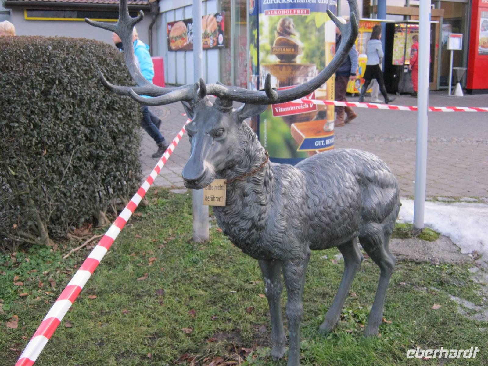 Der Hirsch vom Irschenberg &ndash; &copy; Bernhard Rink (Eberhardt TRAVEL)