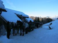 Kavalkade &ndash; &copy; Bernhard Rink (Eberhardt TRAVEL)