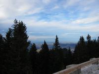 Föhren &ndash; &copy; Bernhard Rink (Eberhardt TRAVEL)
