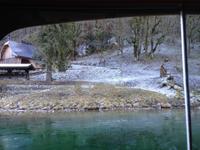 745_Wildfütterung bei St.Bartholomä &ndash; &copy; Birgit Janosch (Eberhardt TRAVEL)