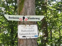 im Wienerwald &ndash; &copy; Jürgen Schmeißer (Eberhardt TRAVEL)
