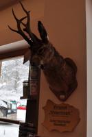 Der Wolpertinger &ndash; &copy; Martin Büchner (Eberhardt TRAVEL)