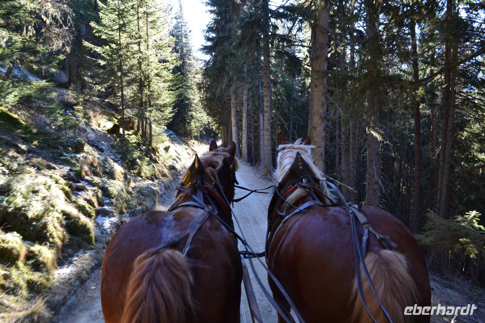 Kutschfahrt zur Pritzhütte &ndash; &copy; Andreas Wolfsteller (Eberhardt TRAVEL)