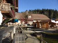 Gut Aiderbichl &ndash; &copy; Claudia Bernhardt (Eberhardt TRAVEL)
