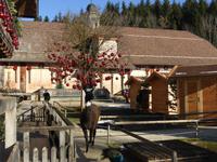 Gut Aiderbichl &ndash; &copy; Claudia Bernhardt (Eberhardt TRAVEL)