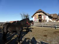 Gut Aiderbichl &ndash; &copy; Claudia Bernhardt (Eberhardt TRAVEL)
