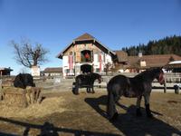Gut Aiderbichl &ndash; &copy; Claudia Bernhardt (Eberhardt TRAVEL)