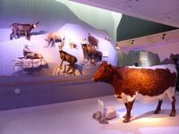 Berchtesgaden - Haus der Berge &ndash; &copy; Claudia Bernhardt (Eberhardt TRAVEL)