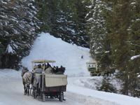 Katschberg - Pferdeschlittenfahrt &ndash; &copy; Claudia Bernhardt (Eberhardt TRAVEL)