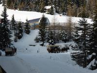 Katschberg - Pferdeschlittenfahrt &ndash; &copy; Claudia Bernhardt (Eberhardt TRAVEL)