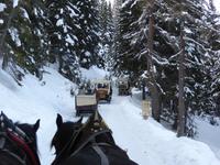 Katschberg - Pferdeschlittenfahrt &ndash; &copy; Claudia Bernhardt (Eberhardt TRAVEL)