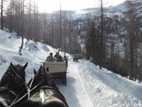 Katschberg - Pferdeschlittenfahrt &ndash; &copy; Claudia Bernhardt (Eberhardt TRAVEL)
