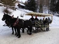 Katschberg - Pferdeschlittenfahrt &ndash; &copy; Claudia Bernhardt (Eberhardt TRAVEL)