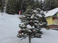 Katschberg - Weihnachtsbaum &ndash; &copy; Claudia Bernhardt (Eberhardt TRAVEL)