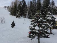 Katschberg - Weihnachtsbaum &ndash; &copy; Claudia Bernhardt (Eberhardt TRAVEL)