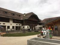 Weihnachten auf Gut Aiderbichl &ndash; &copy; Andreas Wolfsteller (Eberhardt TRAVEL)